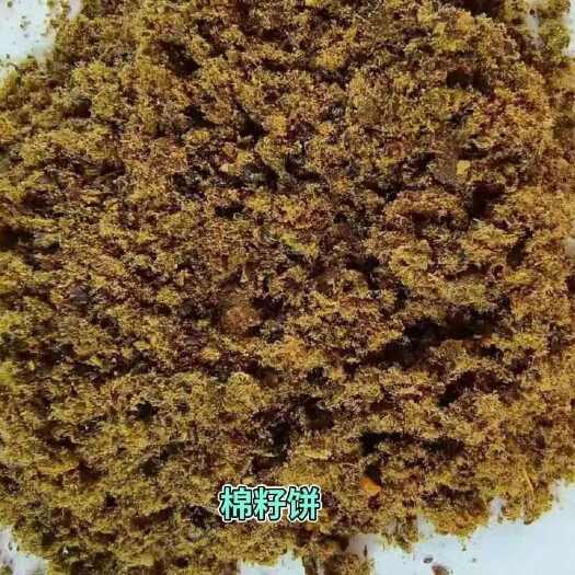 新乐市棉籽饼蛋白18，脂肪11,蛋白脂肪为棉籽自身指标