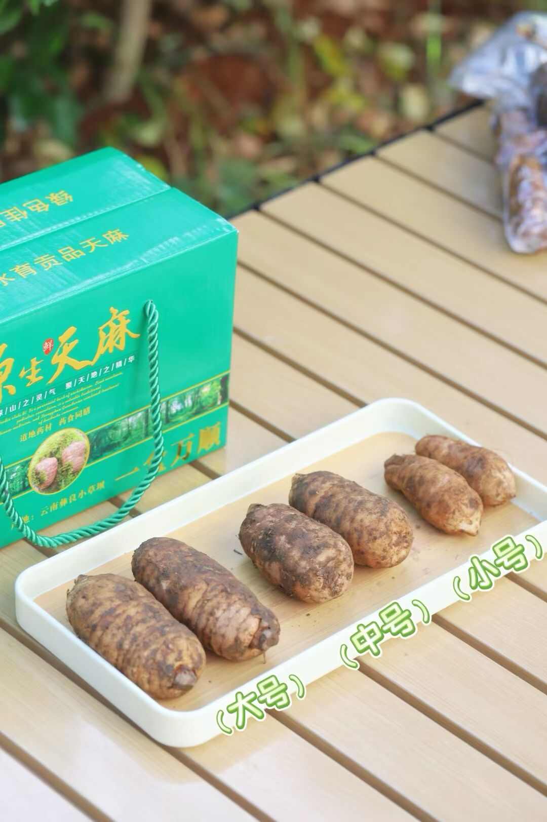 云南昭通新鲜天麻礼盒