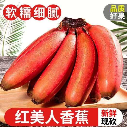 福建漳州紅美人蕉5斤新鮮現(xiàn)摘當(dāng)季時令水果紅皮香蕉整箱包郵廣西