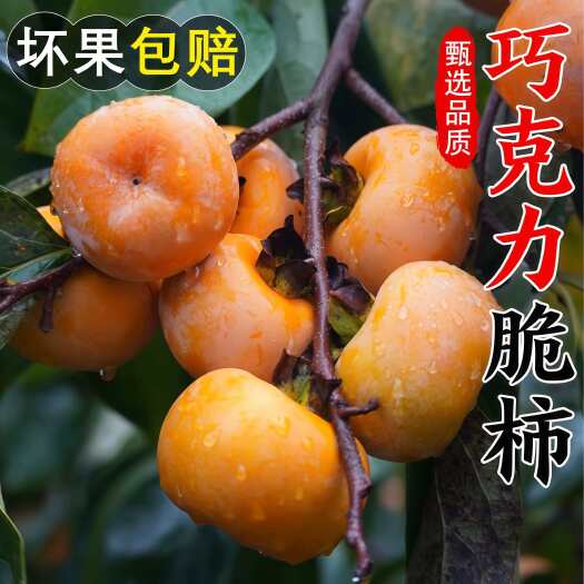现摘脆柿子水果新鲜甜柿5斤大当季整箱包邮巧克力甜柿火晶黄硬柿