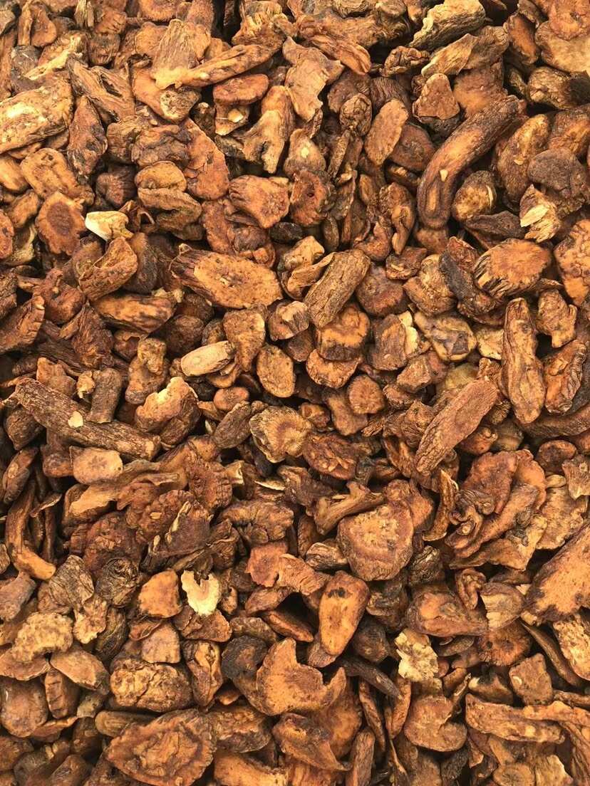 蒲公英根，大片