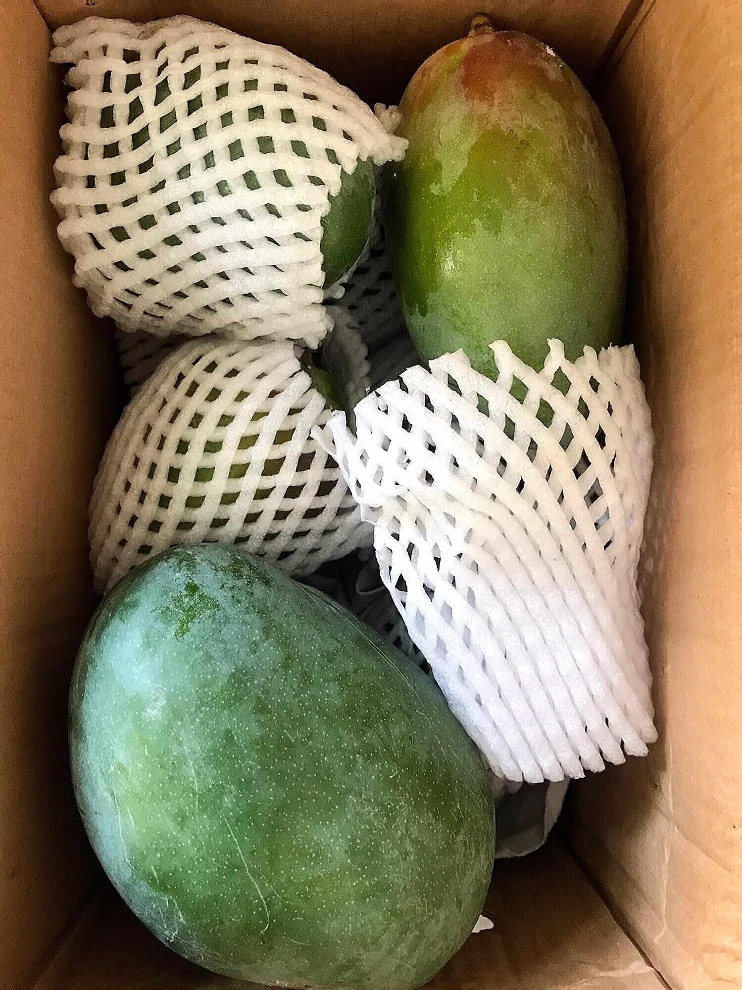 越南大青芒果，绿皮，欢迎老板选购