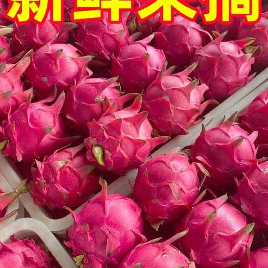 金都一號火龍果  現(xiàn)摘紅心火龍果新鮮海南蜜寶5斤大果包郵整箱