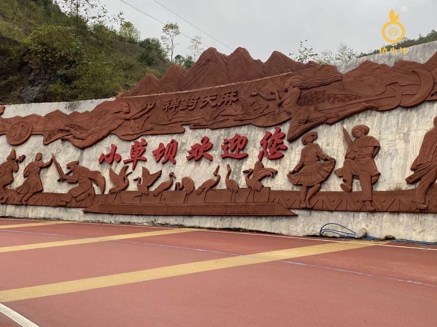 云南昭通新鲜天麻礼盒