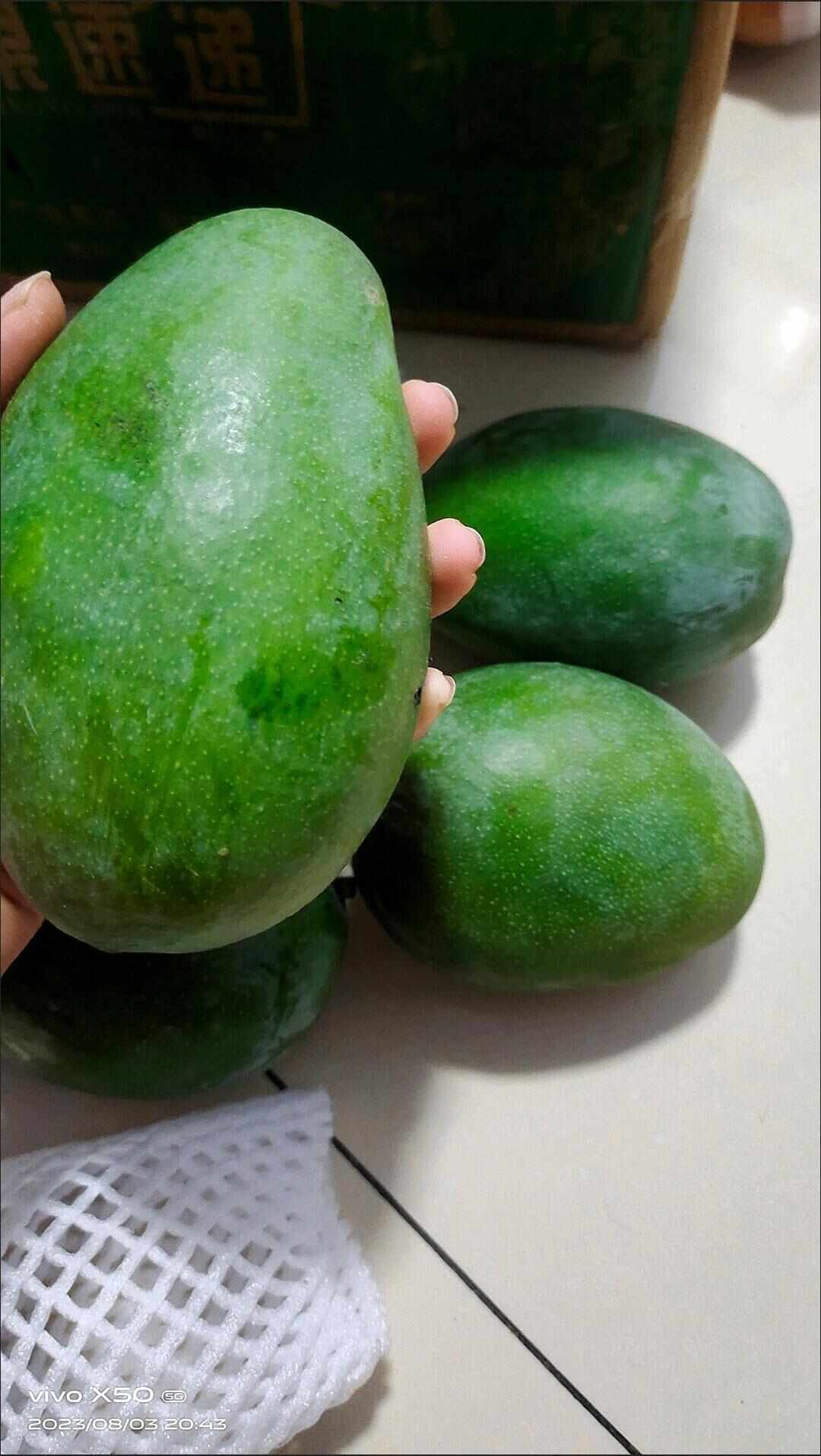 越南大青芒果，绿皮，欢迎老板选购