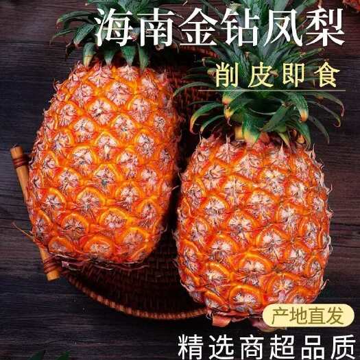 海南9斤金钻凤梨新鲜水果牛奶香水菠萝手撕无眼凤梨树熟大果包邮
