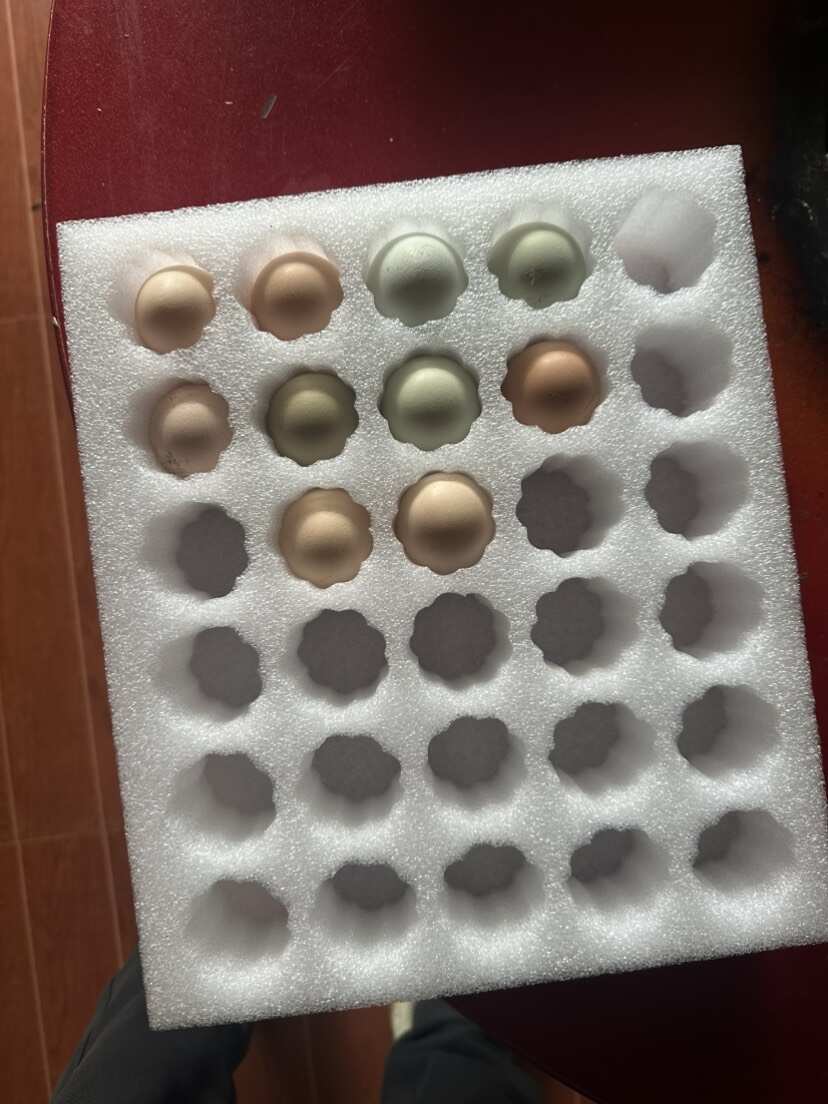 深山散养富硒纯正土鸡蛋，假一罚十