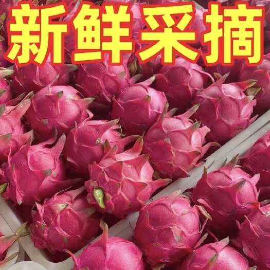 金都一号火龙果  现摘红心火龙果新鲜海南蜜宝5斤大果包邮整箱