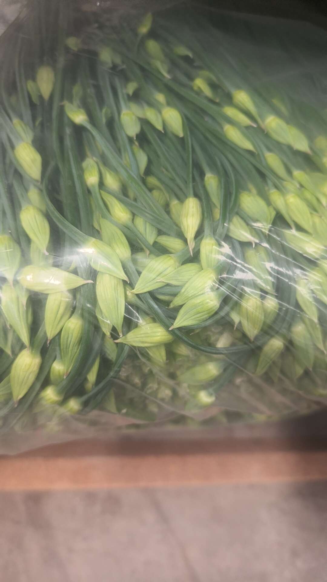 精品冷库韭苔