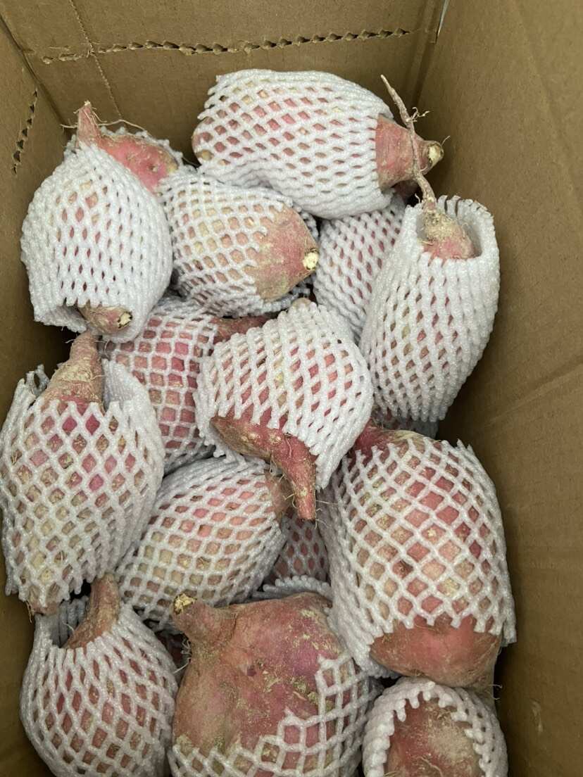 贵州本地老品种板栗粉糯红薯粉糯香甜地瓜番薯