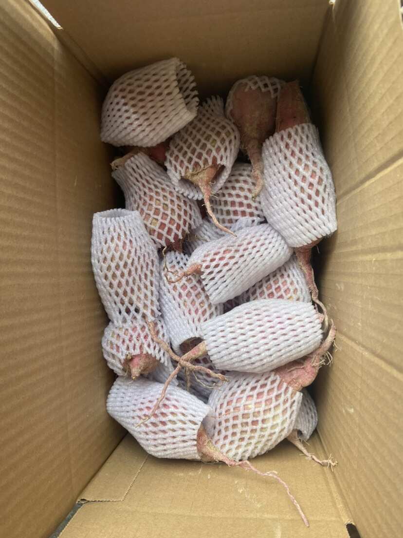 贵州本地老品种板栗粉糯红薯粉糯香甜地瓜番薯