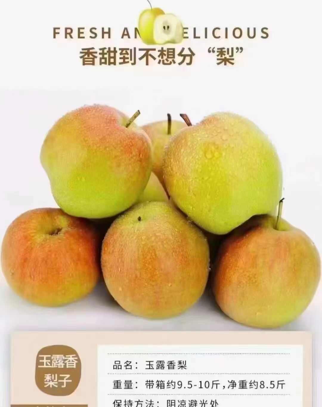 隰县玉露香梨