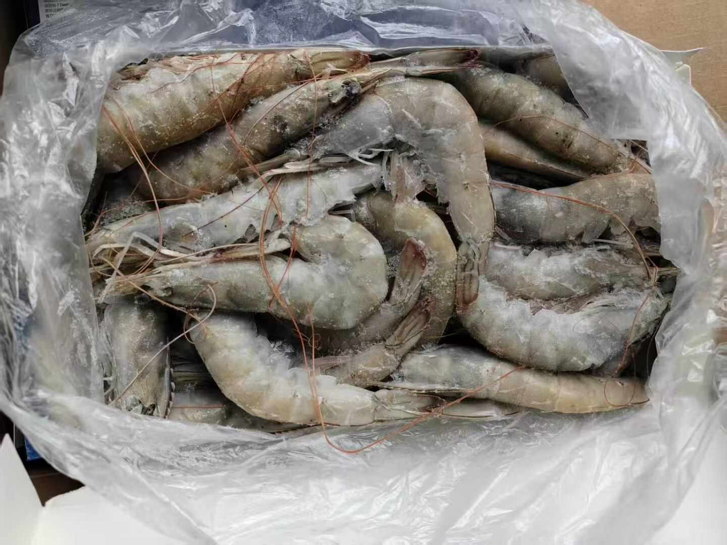 太平洋味道干冰3040