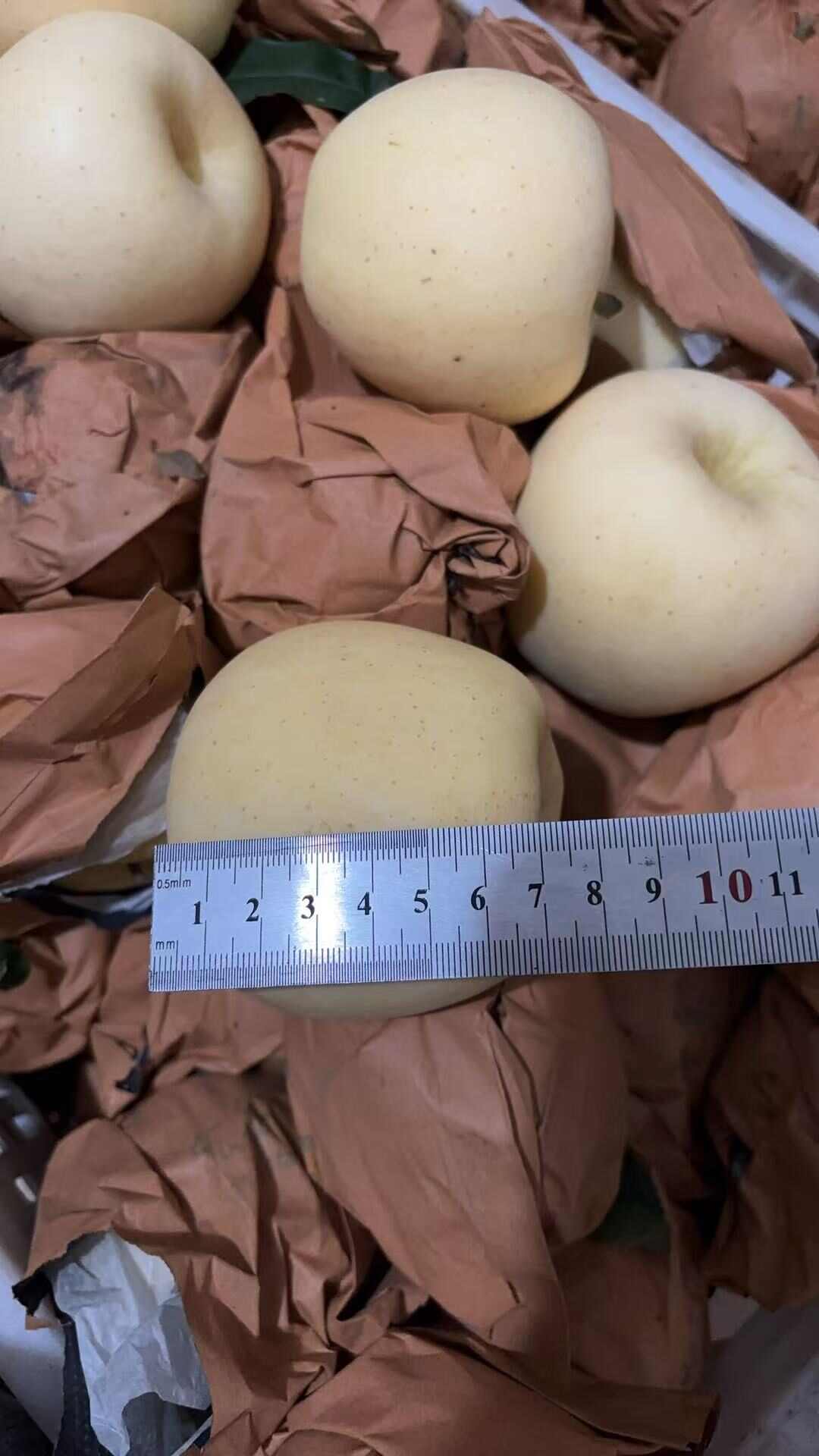 黄金维纳斯苹果