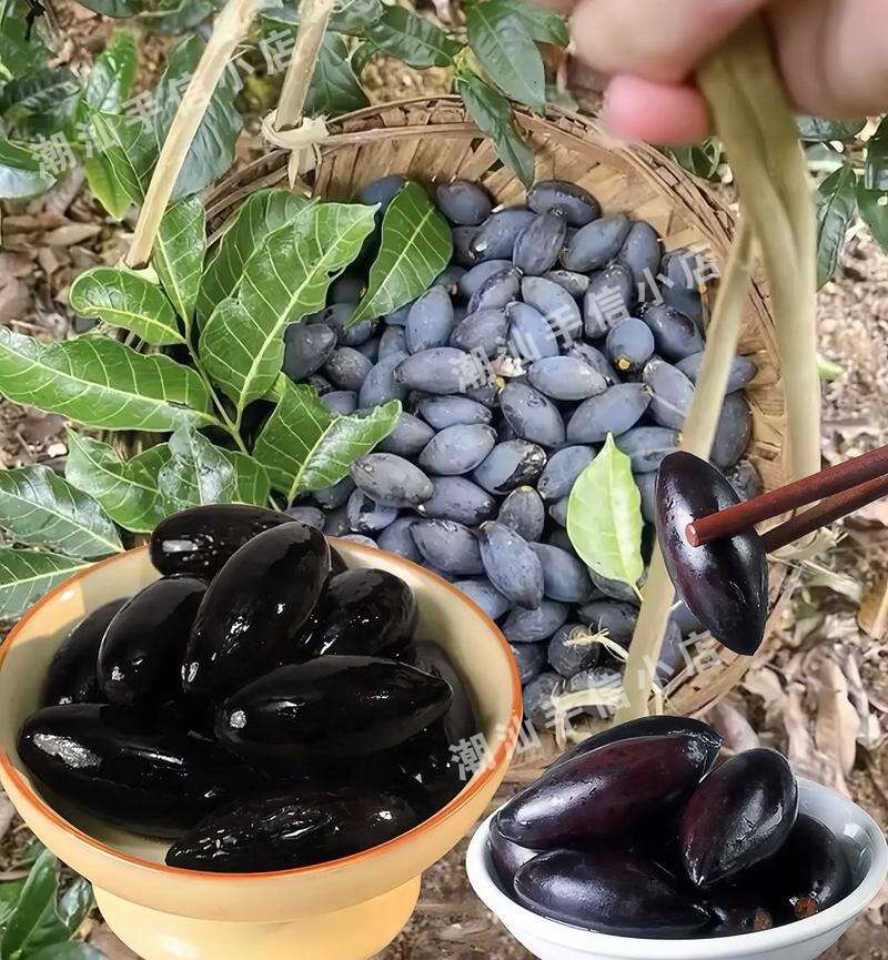 潮汕新鲜黑橄榄 产地直发 乌榄 菜榄