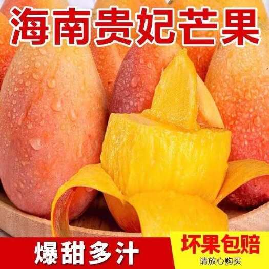 广州海南贵妃芒果新鲜现摘大果自然熟核薄无丝清甜多汁当季包邮