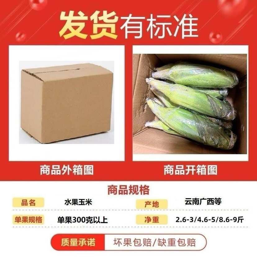 云南新鲜水果甜玉米产地现摘现发玉米棒子爆浆蔬菜玉米