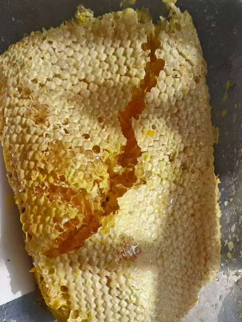 土蜂蜜