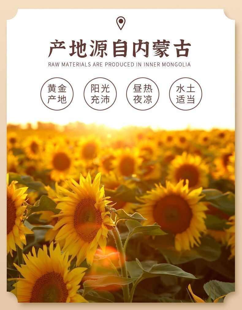 【优惠2 大袋】新货黑珍珠小瓜子五香味奶香味2025新油葵
