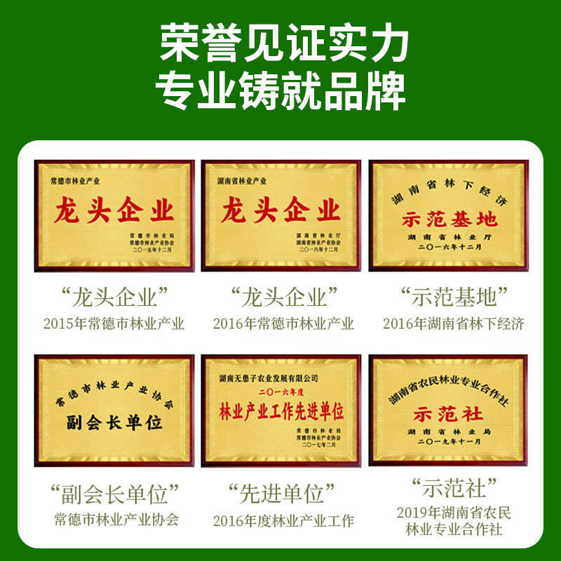 无患子树胸径10-12CM