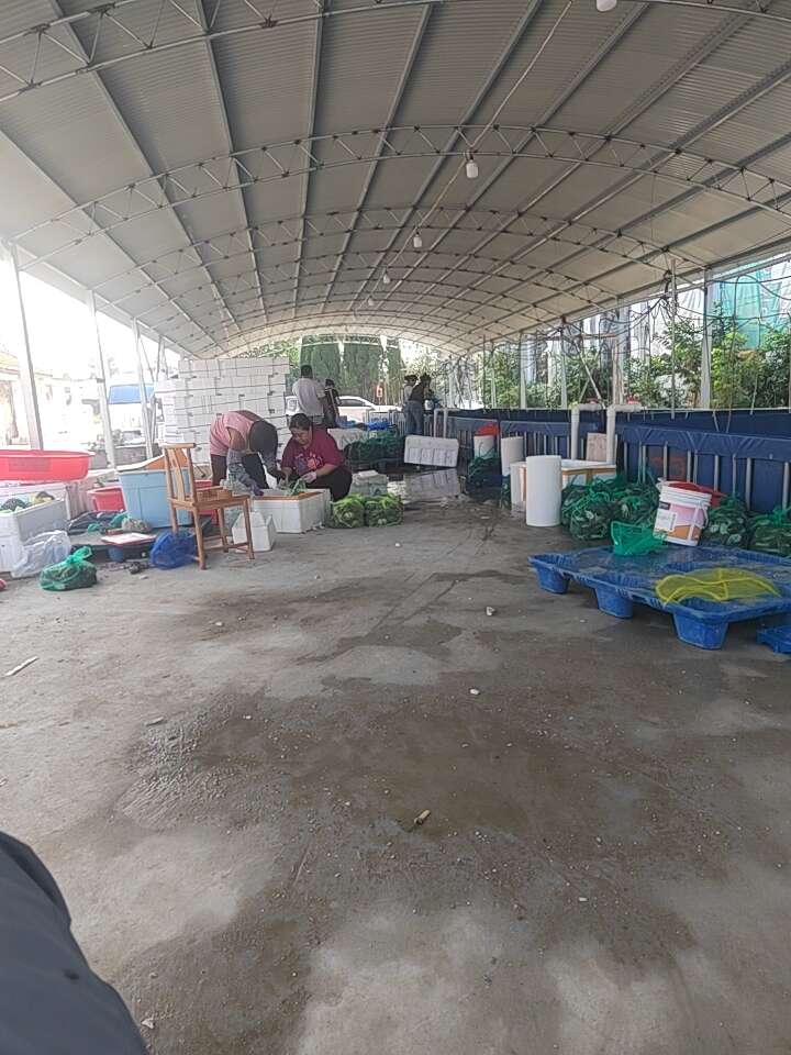 代发大闸蟹 大闸蟹礼盒