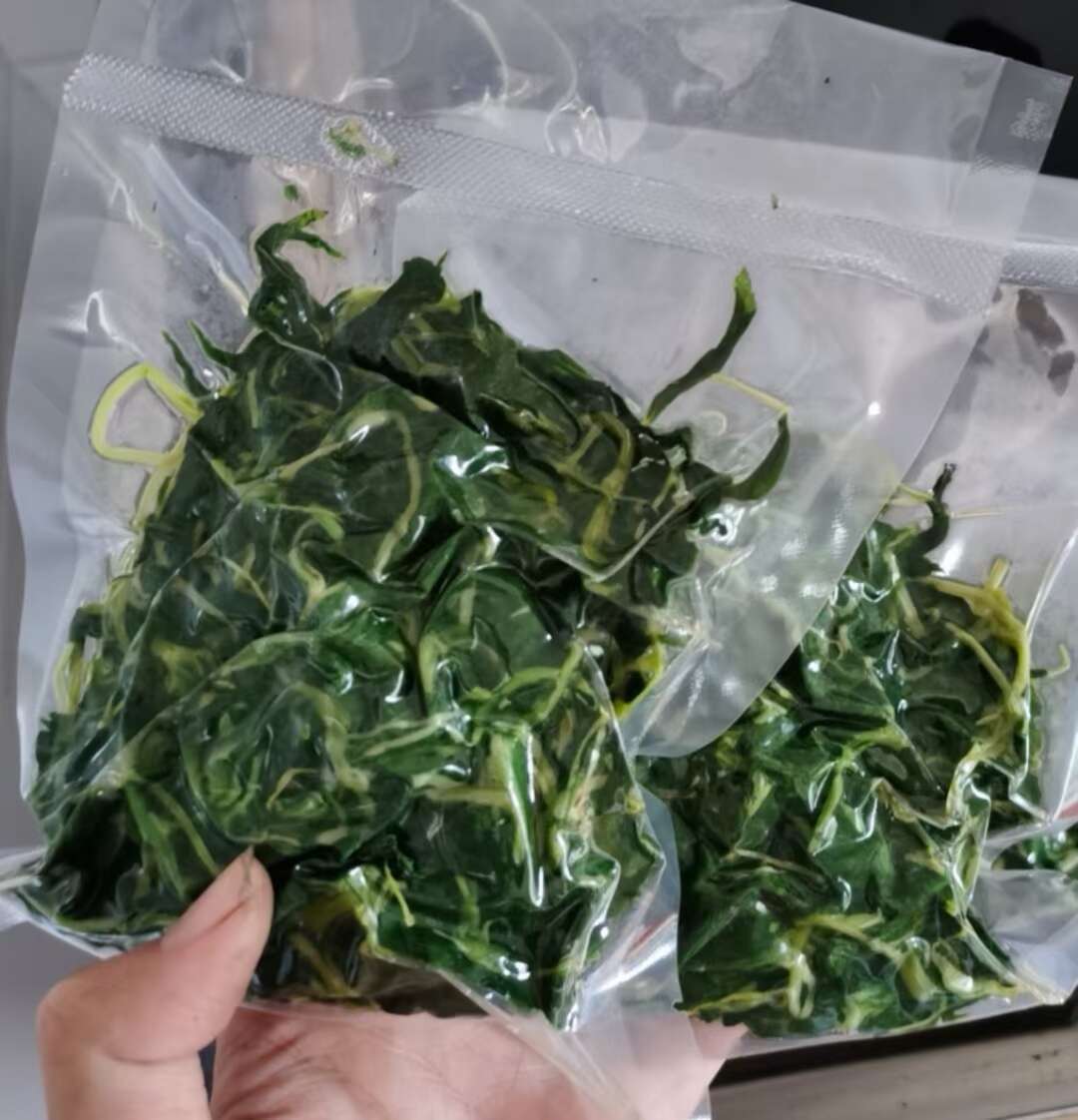 潮汕特产 新鲜脱水麻叶菜 半成品 杂咸 （新麻仔）种植地批发