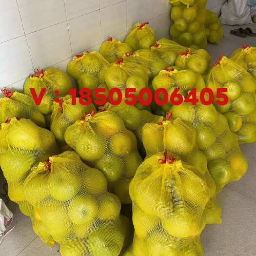 福建仙游度尾红心文旦柚,自家果园,一手批发,一件代发,不包邮