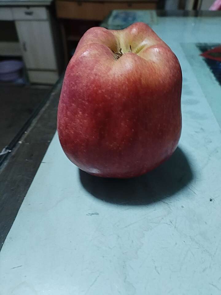 花牛