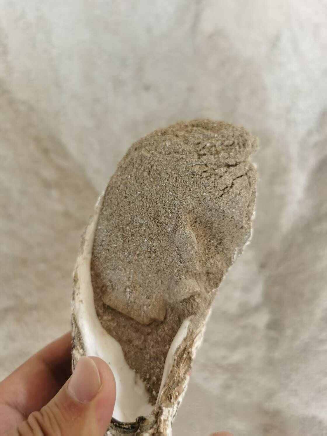 底肥套餐撒施适用多类作物江苏发货