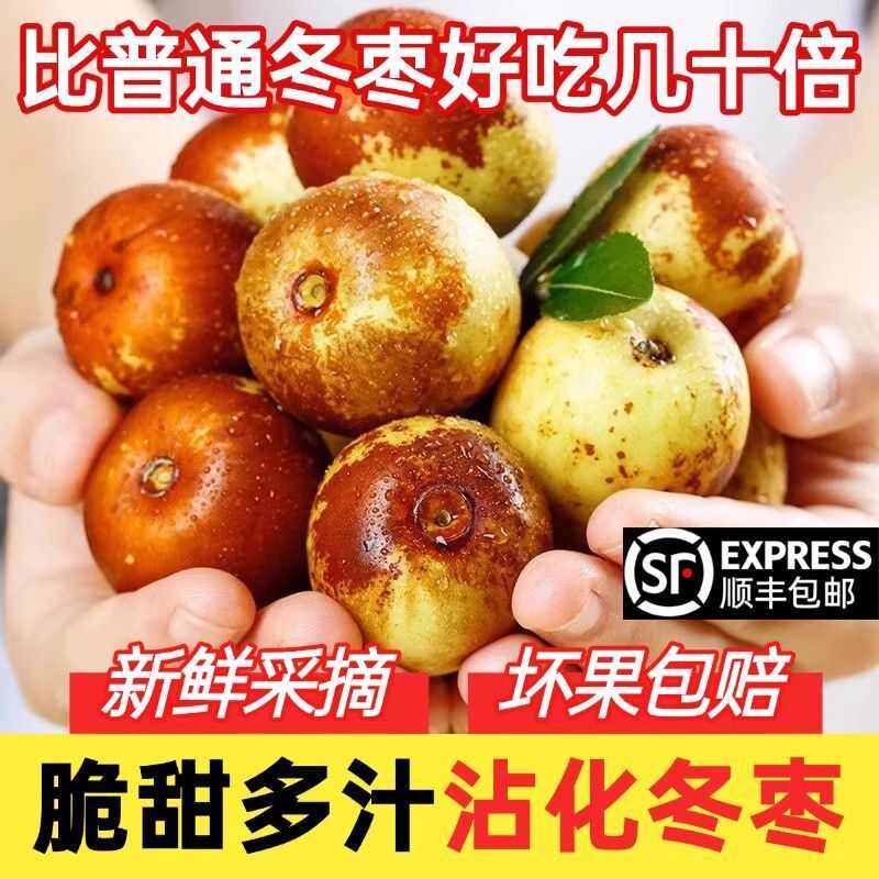 沾化冬枣二代冬枣自家种植