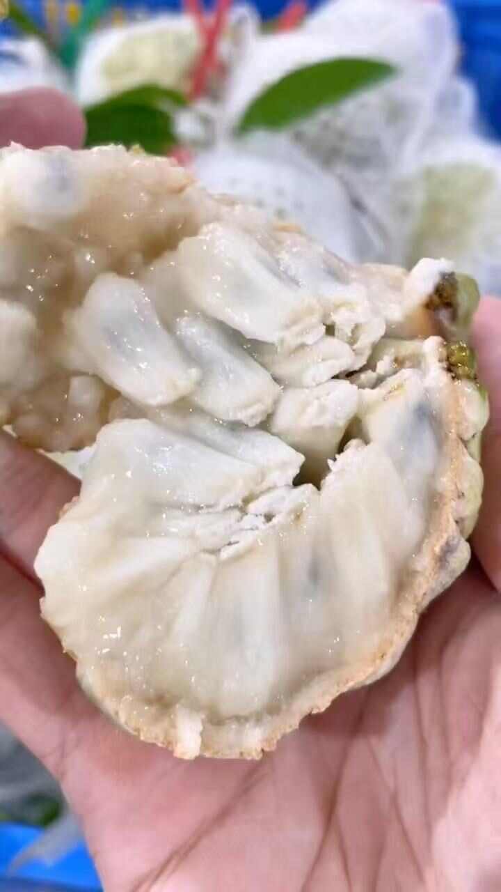 海南番荔枝（释迦果）凤梨释迦果，批发全国发货