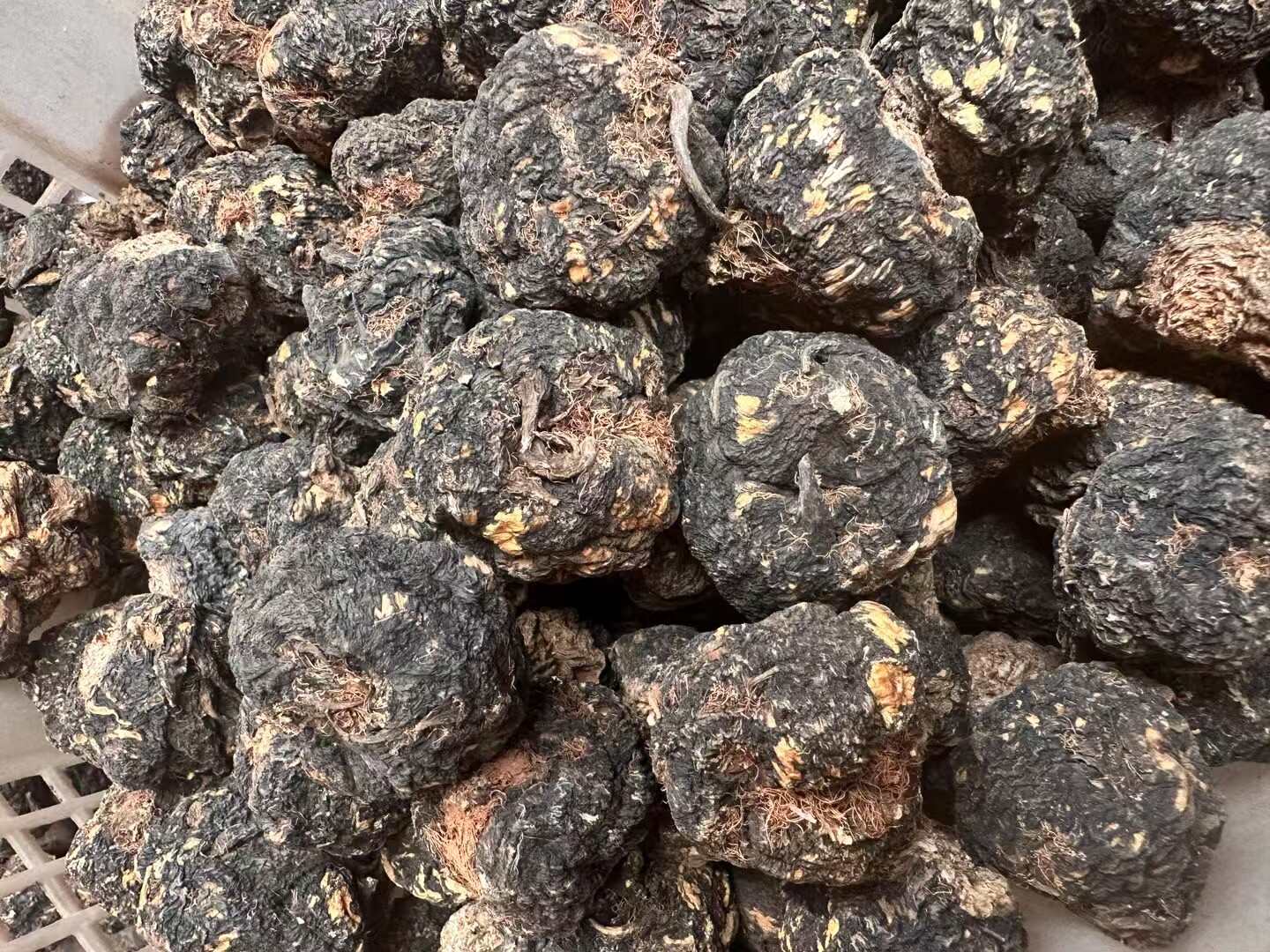 云南精品优质玛咖果包邮，品质好
