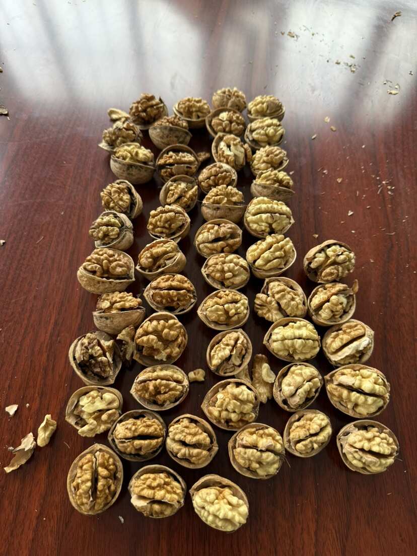 新疆阿克苏乌什薄皮核桃 产地直发