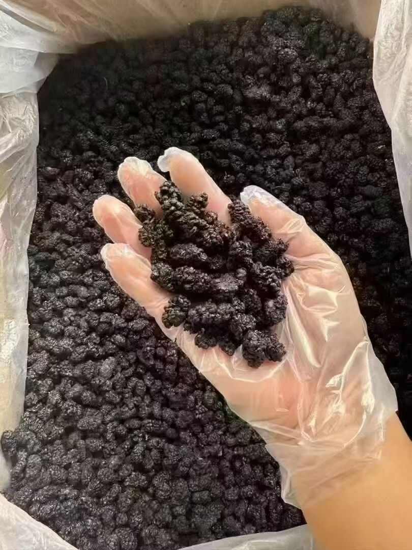 优质黑桑椹，品质好，颜色好