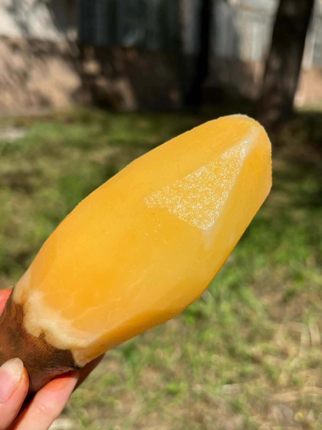云南天山雪莲果爽脆香甜香味浓郁自然生长，皮薄易剔