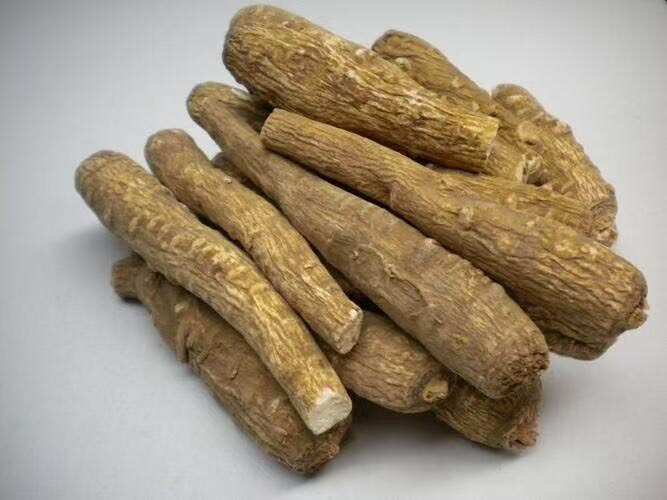 白芷 白芷籽 产地直发 成活率高快包回收