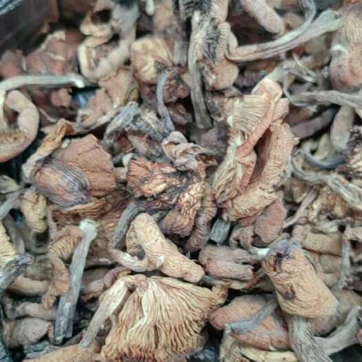 海城市朝鲜榛蘑。干货