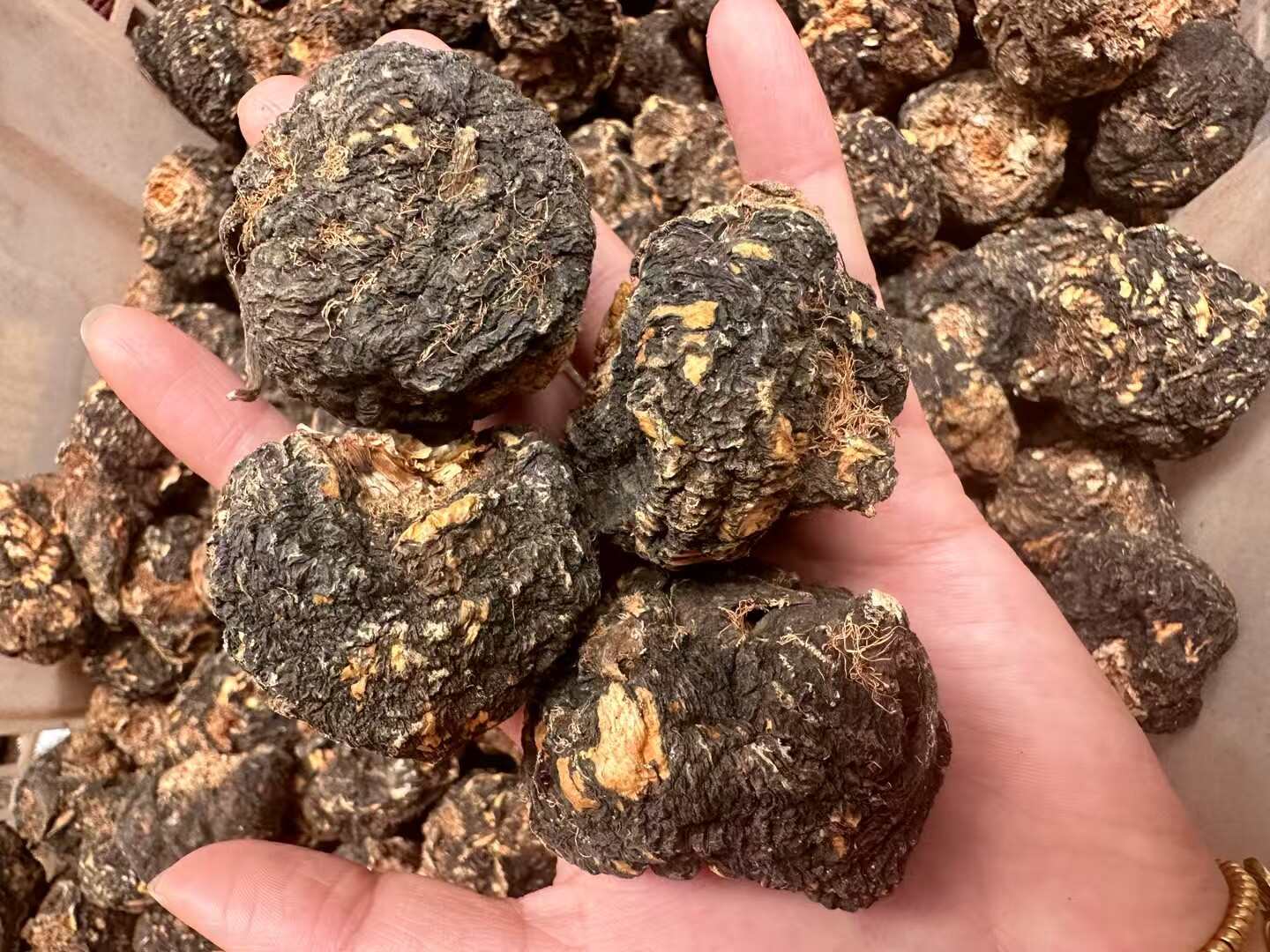 云南精品优质玛咖果包邮，品质好