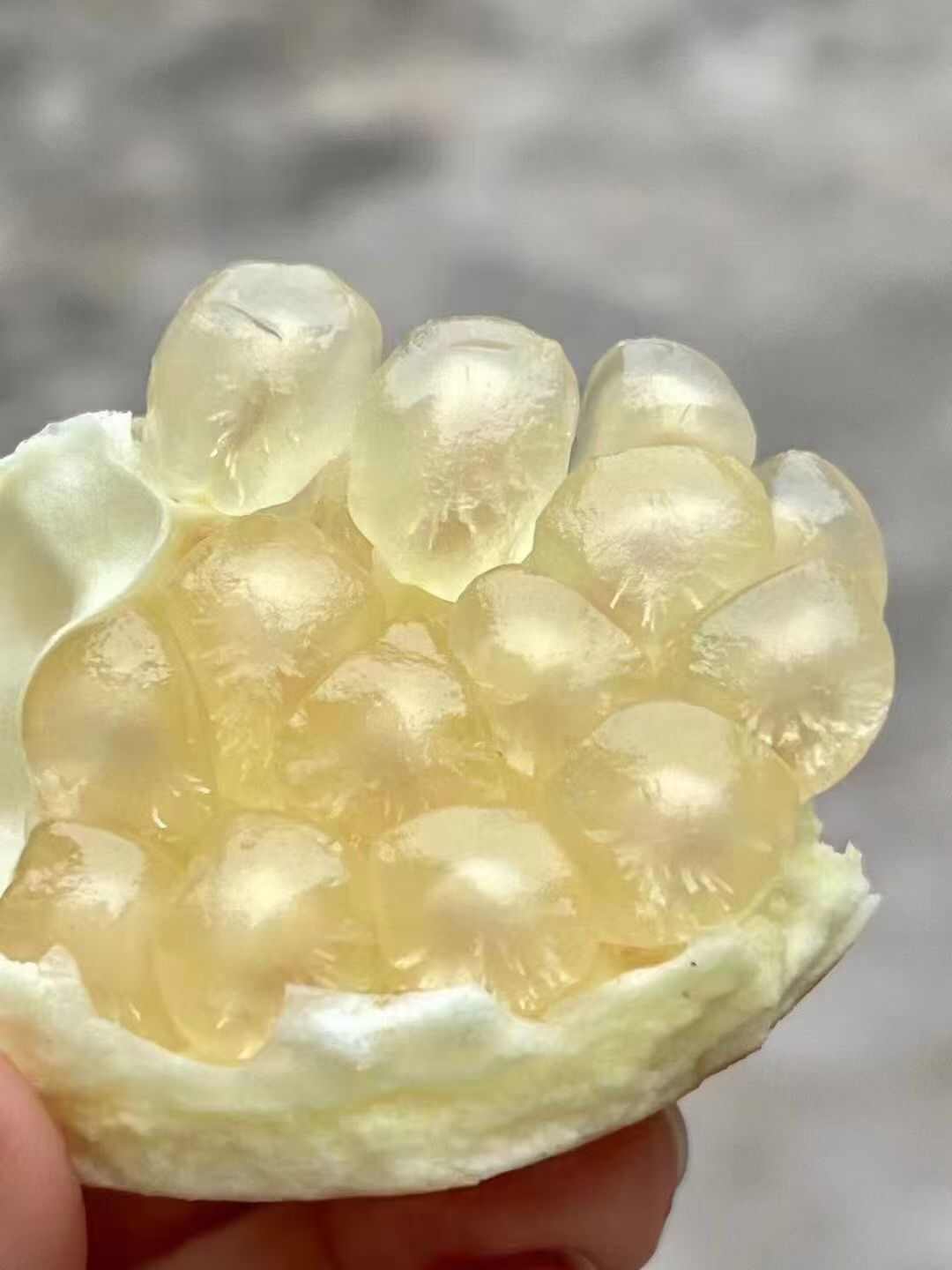 白玉籽