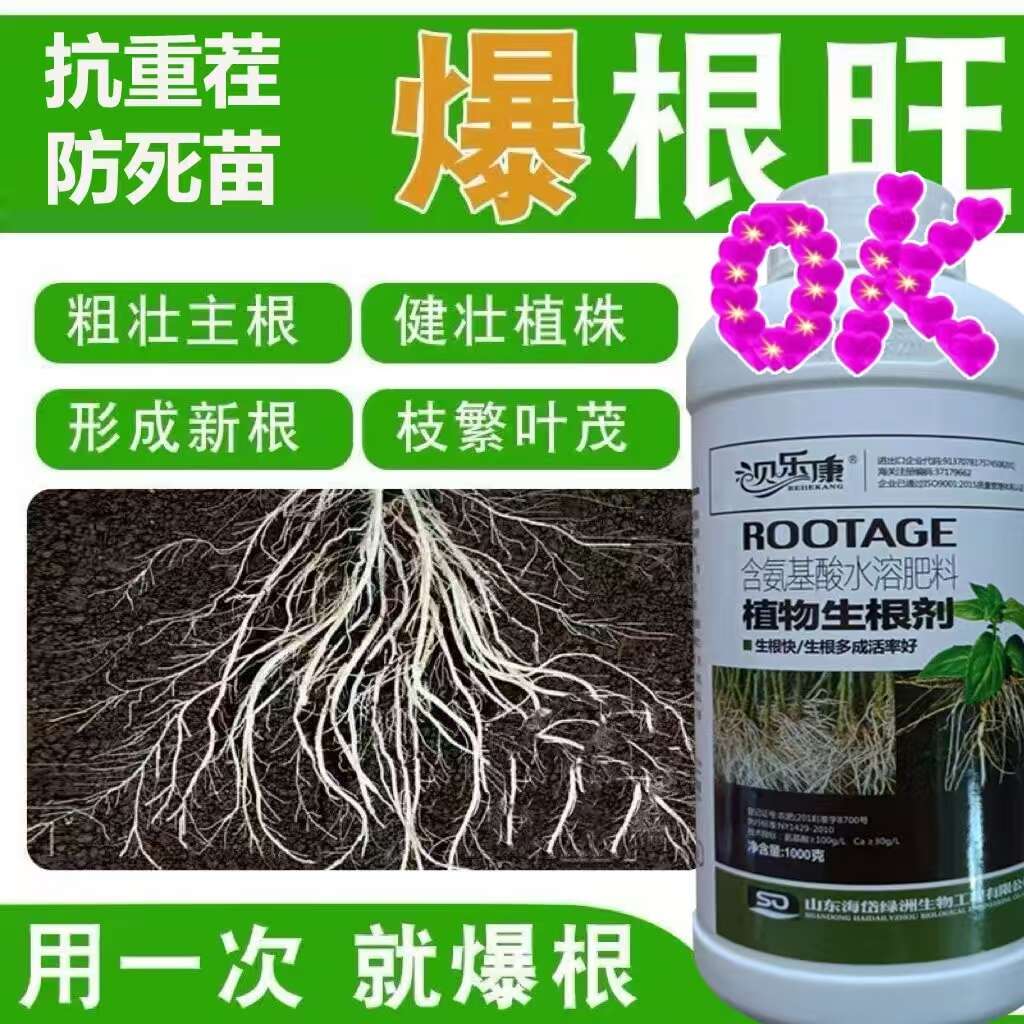 爆生根果树生根原液生根剂猛生根通用型蔬菜果树生根壮苗发根快速