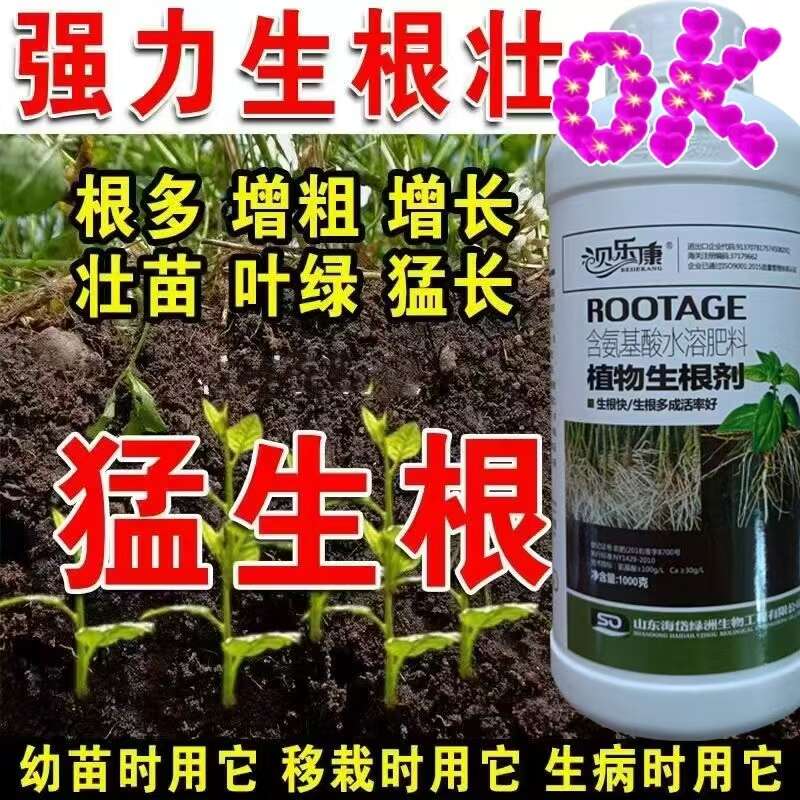 爆生根葡萄生根原液生根剂猛生根通用型蔬菜果树生根壮苗发根快速