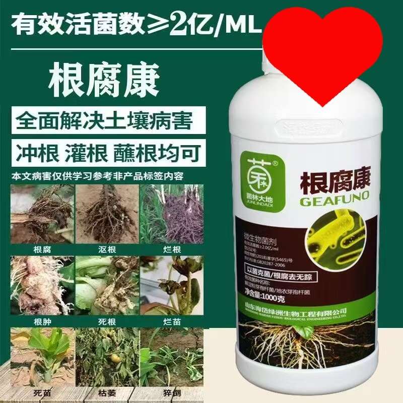 根腐病克星姜茎腐病青枯病生根壮苗烂根死苗死棵肥料农用根腐康