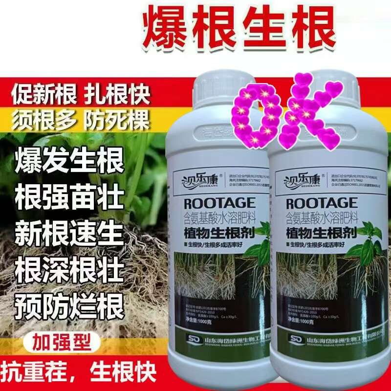 爆生根柑橘生根原液生根剂猛生根通用型蔬菜果树生根壮苗发根快速