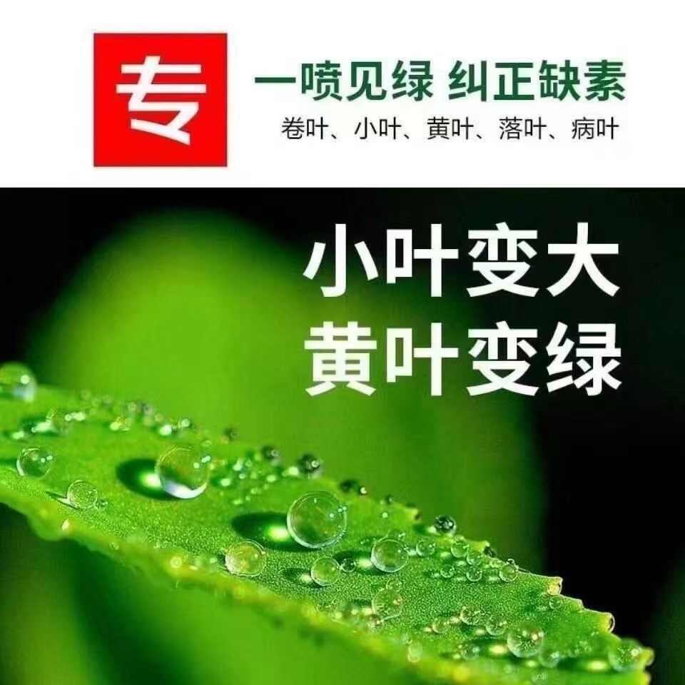 一喷就绿蔬菜黄叶死苗一喷绿通用植物蔬菜花卉果树绿叶中量元素肥