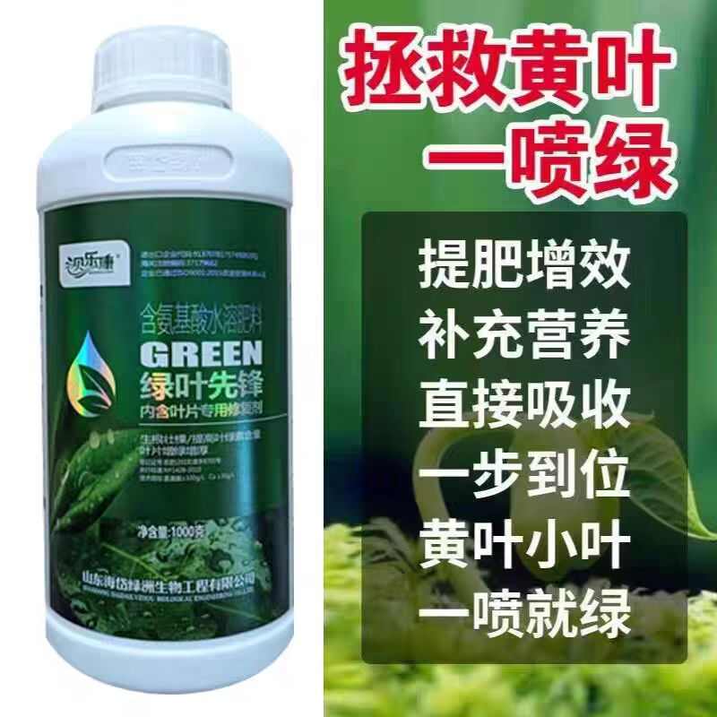 绿叶先锋苹果作物小叶花叶卷叶促进光合作用叶片增厚增大叶面肥