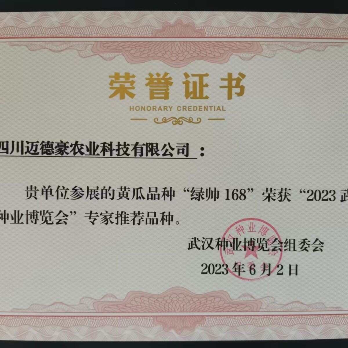 绿帅168 黄瓜种子全雌株杂交油绿早熟肉绿味香抗病刺密瘤大心