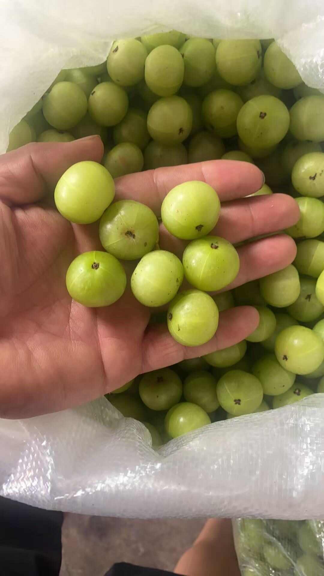 余甘果超甜油甘大果精选