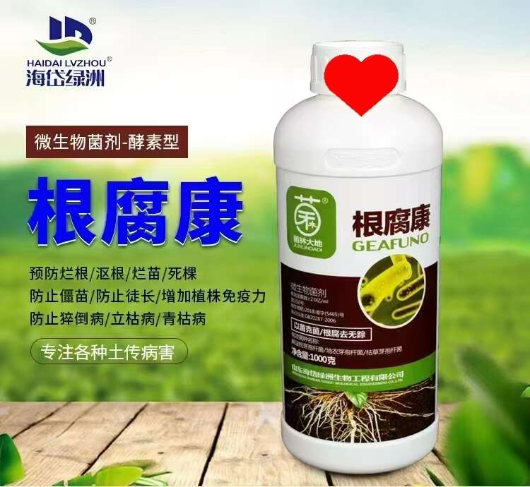 根腐病克星姜茎腐病青枯病生根壮苗烂根死苗死棵肥料农用根腐康