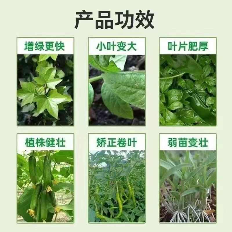 绿叶先锋苹果作物小叶花叶卷叶促进光合作用叶片增厚增大叶面肥