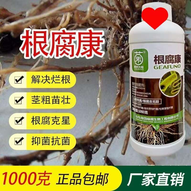 根腐病克星姜茎腐病青枯病生根壮苗烂根死苗死棵肥料农用根腐康